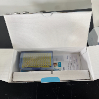 Eppendorf Research Plus Single Channel Pipettes - Quantity 5 image 1
